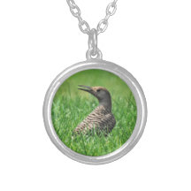 Collier de clignotement de pivert