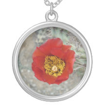 Collier de fleur de Cholla