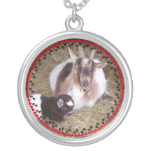Collier de la photo de votre chèvre