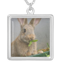 Collier de lapin de lapin