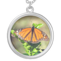 Collier de papillon colliers
