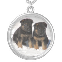 collier de photo de chiot