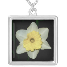 Collier de plan rapproché de jonquille