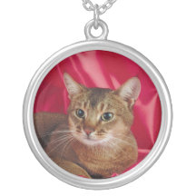 Collier de pure race mignon de chat