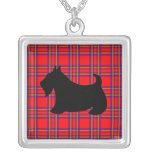 Collier de Terrier d'écossais
