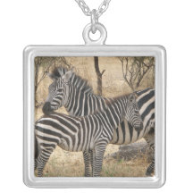 Collier de zèbre de mère et de bébé