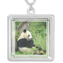 Collier d'ours panda
