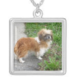 Collier mignon de chien