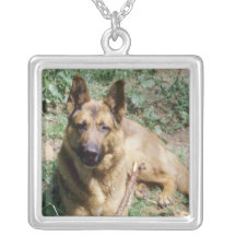 Collier mignon de chiot de chien