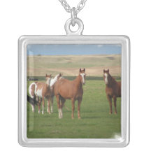 Collier quart de troupeau de cheval