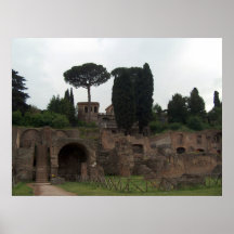 Colline de Palatine à Rome, Italie Affiches