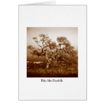 Collines de Palo Alto Carte De Vœux