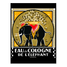 Cologne 1925 De L'Elephant Carte Postale