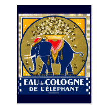Cologne 1925 De L'Elephant Cartes Postales