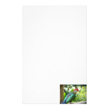 Colorful bird head turned on post stationery paper