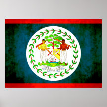 Colorful Contrast Belizean Flag Print