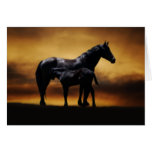 Colt de maman et de bébé cartes de vœux