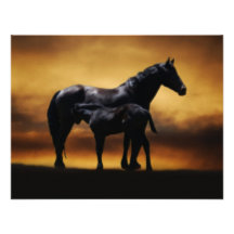 Colt de maman et de bébé invitations