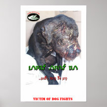 COMBATS DE CHIEN AFFICHES