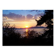 Commande de Chuckanut Cartes De Visite Personnelles