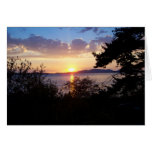Commande de Chuckanut Cartes De Vœux