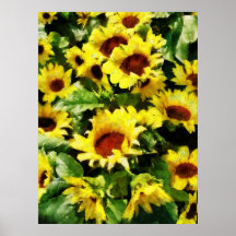 COMMENCER AU-DESSOUS DE $20 - champ des tournesols Affiche