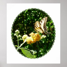 COMMENCER AU-DESSOUS DE $20 - machaon onButterfly  Poster