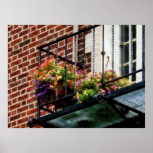 COMMENCER AU-DESSOUS DE $20 - paniers accrochants  Posters