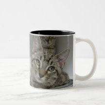 Compagnons d'ordures tasse