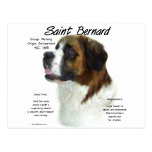 Conception (approximative) d'histoire de St Bernar Cartes Postales