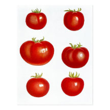 Conception de carte postale de carte de recette po