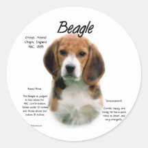 Conception d'histoire de beagle adhésif