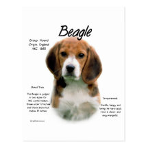 Conception d'histoire de beagle carte postale