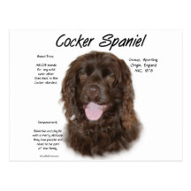 Conception d'histoire de cocker (brn) cartes postales
