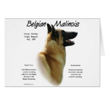 Conception d'histoire de Malinois de Belge Cartes De Vœux