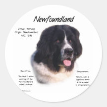 Conception d'histoire de Terre-Neuve (landseer) Autocollants