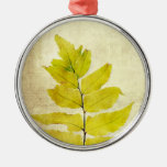 Conception grunge de feuille de fougère décorations de noël