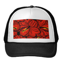 Conception hawaïenne tropicale rouge de fleur de k casquettes