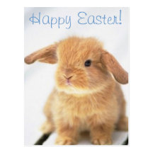 Conception heureuse de Pâques de lapin mignon de b Cartes Postales