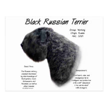 Conception noire d'histoire de Terrier de Russe Cartes Postales