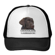Conception unique de Labrador de chocolat ! Casquettes De Camionneur