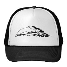 Conceptions de dauphin casquette