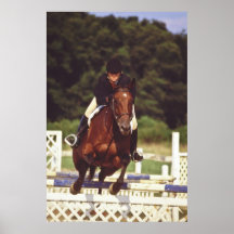 Concours sautant de cheval - affiche