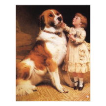 Confiance (St Bernard) par le coiffeur de Charles  Bristols