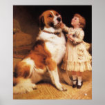 Confiance (St Bernard) par le coiffeur de Charles  Affiches