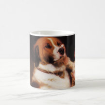 Confiance (St Bernard) par le coiffeur de Charles  Tasse