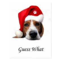 Conjecture quel Noël Carte Postale