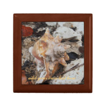 Conque Shell et corail Boîtes À Babioles