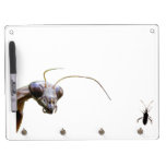 Conseil de Keychain de ~ de mante et d'insecte