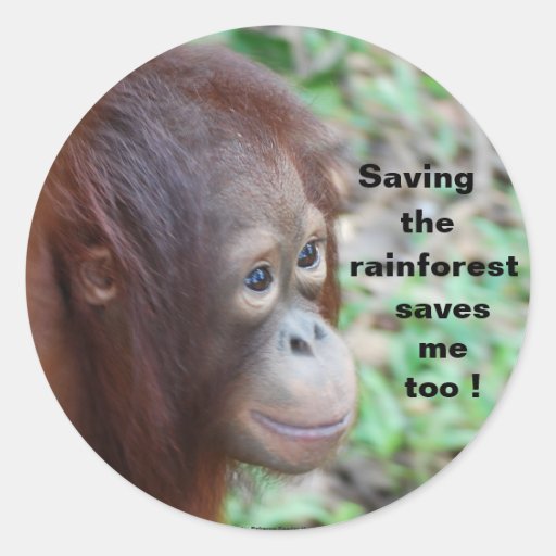 Conservation de faune : Orangs-outans et forêt tro Adhésif Rond